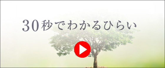 30秒でわかるひらい