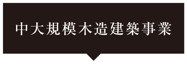 中大規模木造建築事業