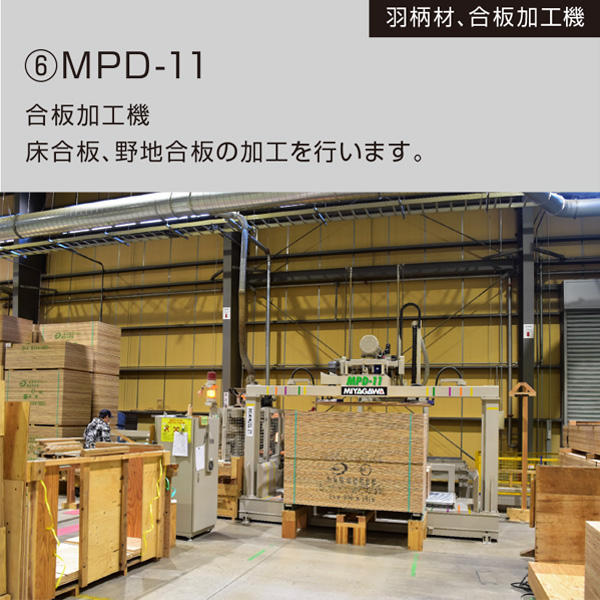 ⑥MPD-11